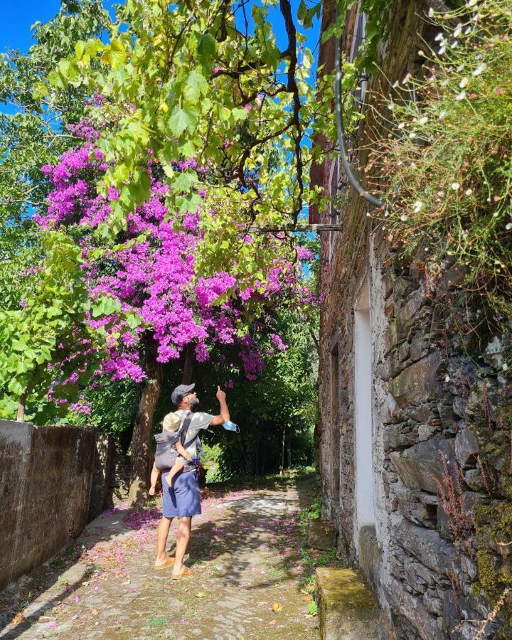 Hostel Out Of Town Castelo de Paiva Exterior foto